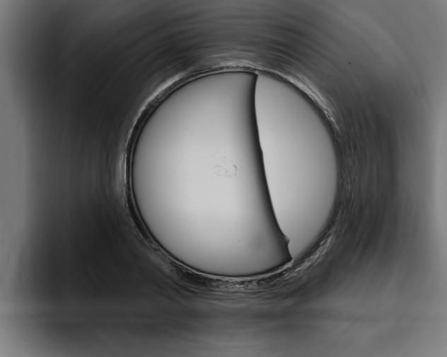 X0000094770790200711160829