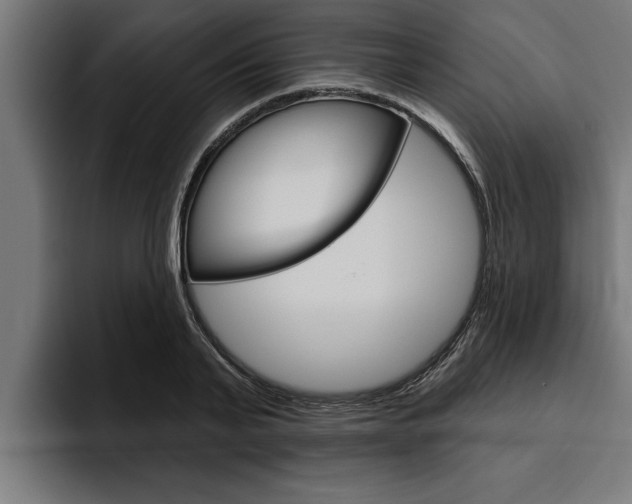X0000094770791200711160829