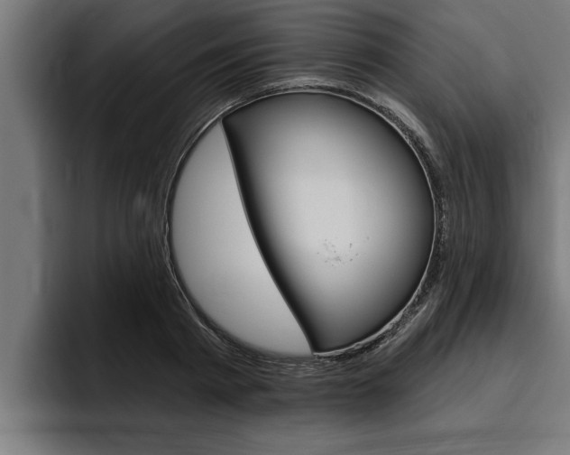 X0000094770793200711160829