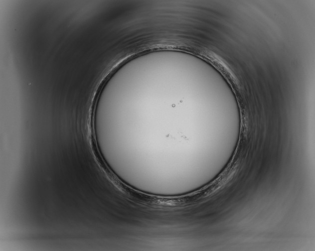 X0000094770794200711160829