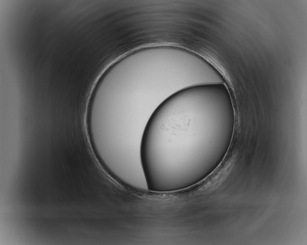 X0000094770797200711160829