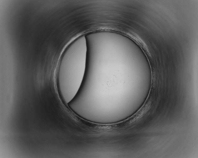 X0000094770798200711160829