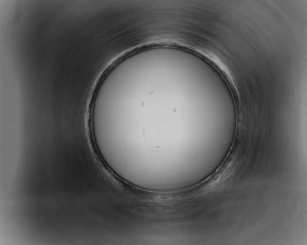 X0000094770799200711160829