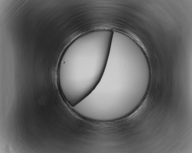 X0000094770802200711160829