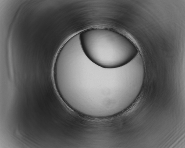 X0000094770803200711160829