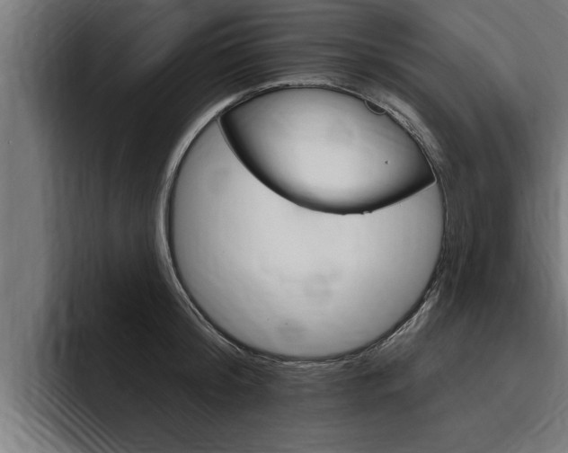 X0000094770804200711160829