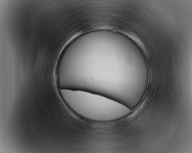 X0000094770806200711160829