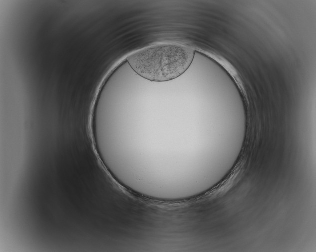X0000094770807200711160829