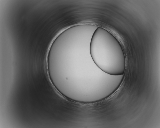 X0000094770808200711160829