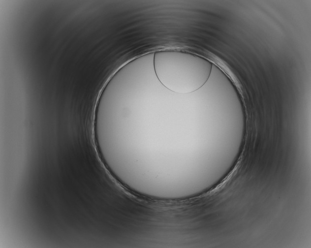 X0000094770810200711160829