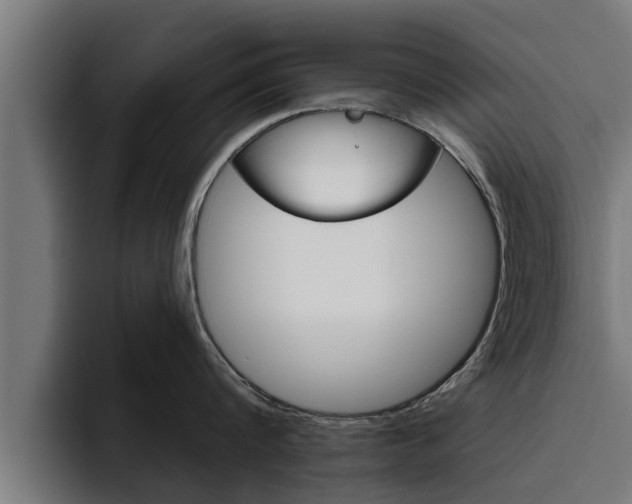 X0000094770816200711160829