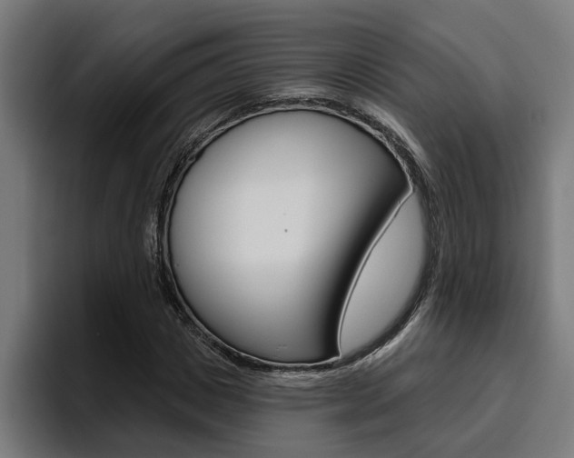 X0000094770825200711160828