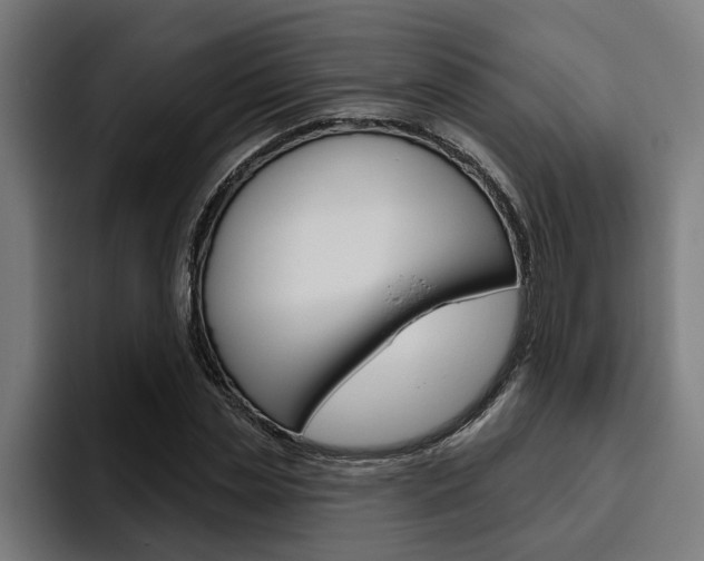 X0000094770829200711160828