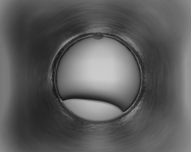 X0000094770830200711160828