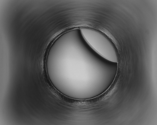 X0000094770834200711160828