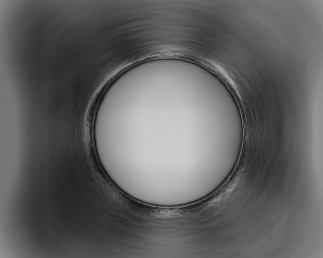 X0000094770835200711160828
