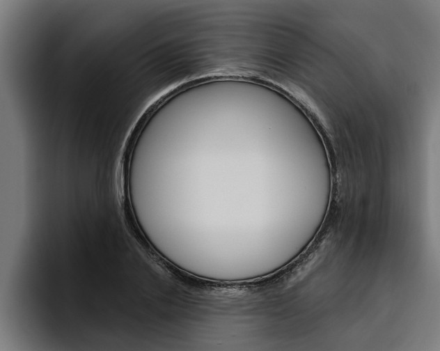 X0000094770838200711160828