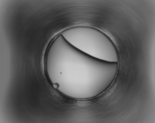 X0000094770840200711160828