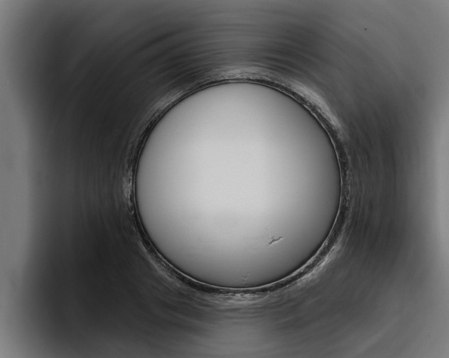 X0000094770841200711160828