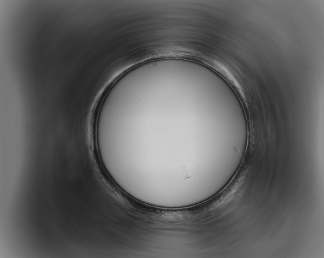 X0000094770843200711160828
