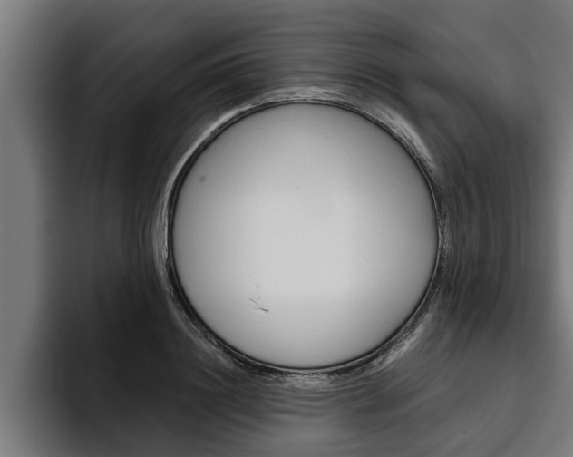 X0000094770844200711160828