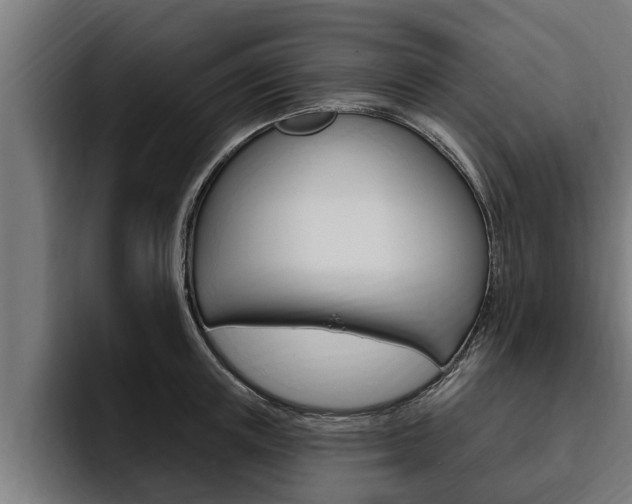 X0000094770851200711160829