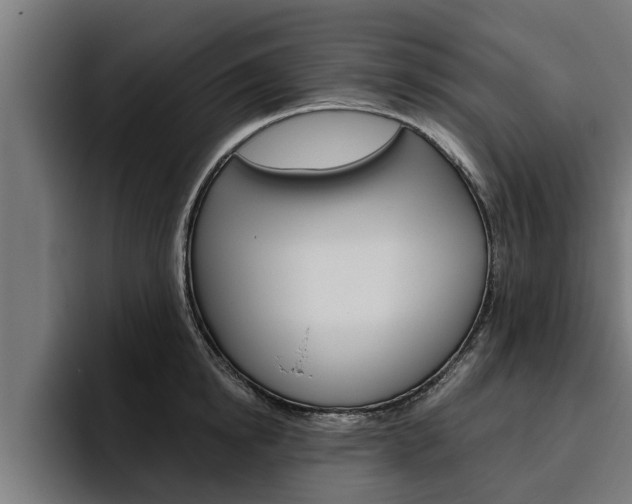 X0000094770854200711160829