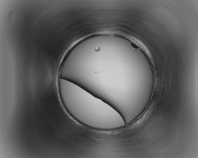 X0000094770855200711160829