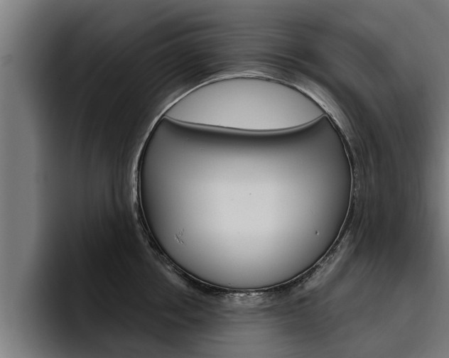 X0000094770858200711160829