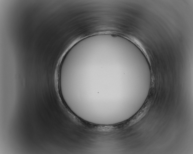 X0000094770859200711160829