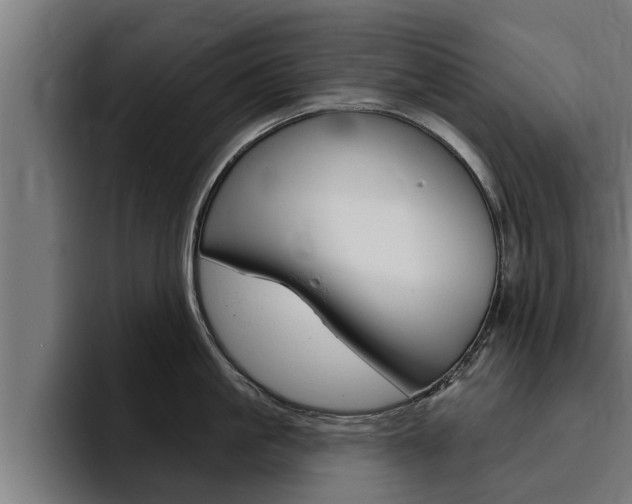 X0000094770861200711160829