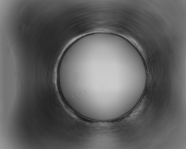 X0000094770862200711160829