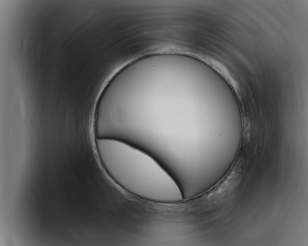 X0000094770863200711160829
