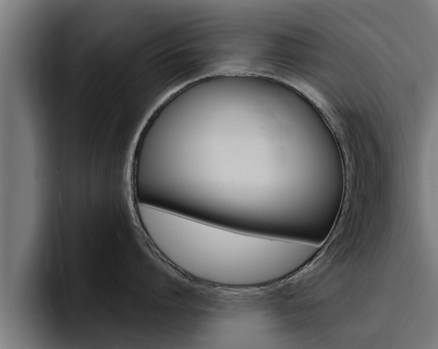 X0000094770864200711160829