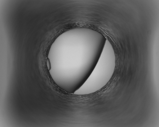 X0000094770865200711160828