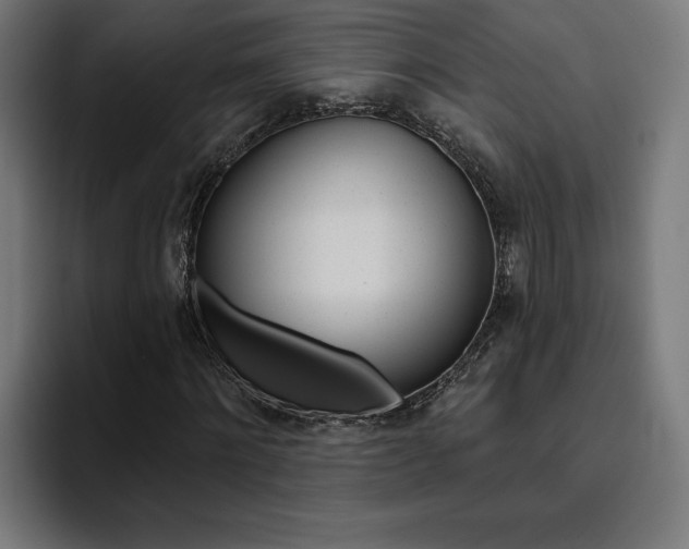 X0000094770868200711160828
