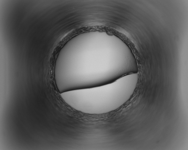 X0000094770871200711160828