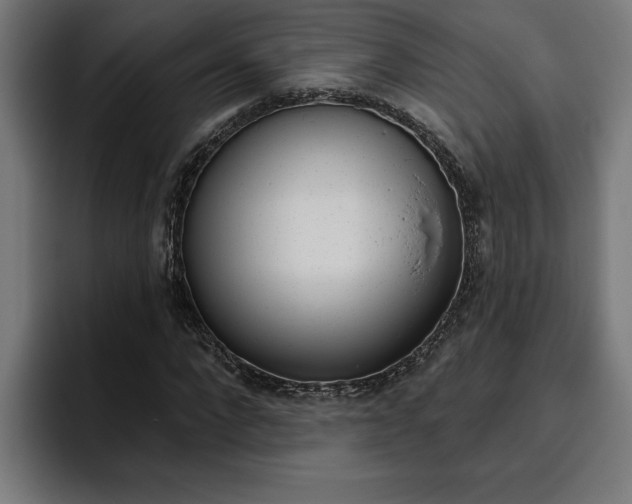 X0000094770872200711160828