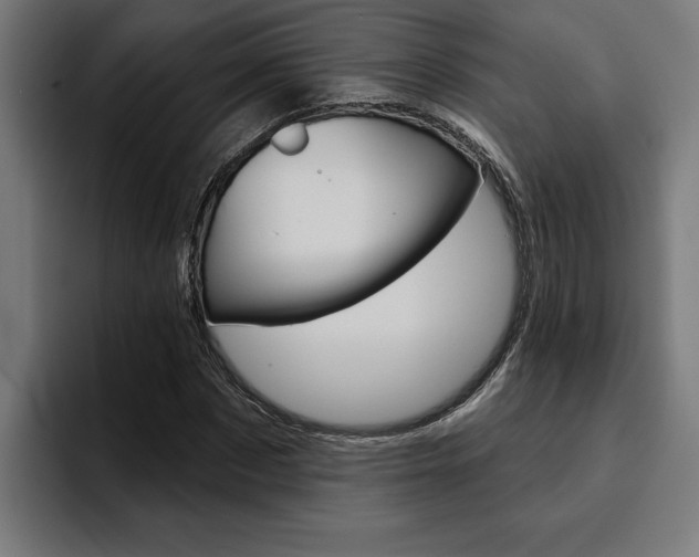 X0000094770873200711160828