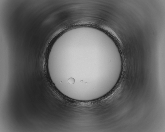X0000094770874200711160828