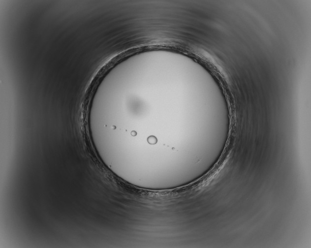 X0000094770875200711160828