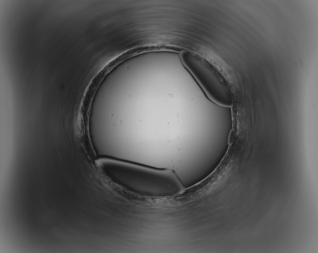 X0000094770876200711160828