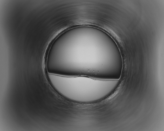 X0000094770885200711160828