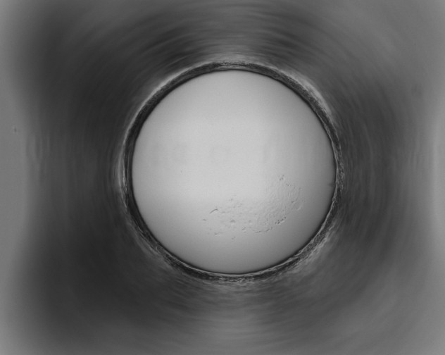 X0000094770887200711160828