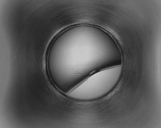 X0000094770888200711160828