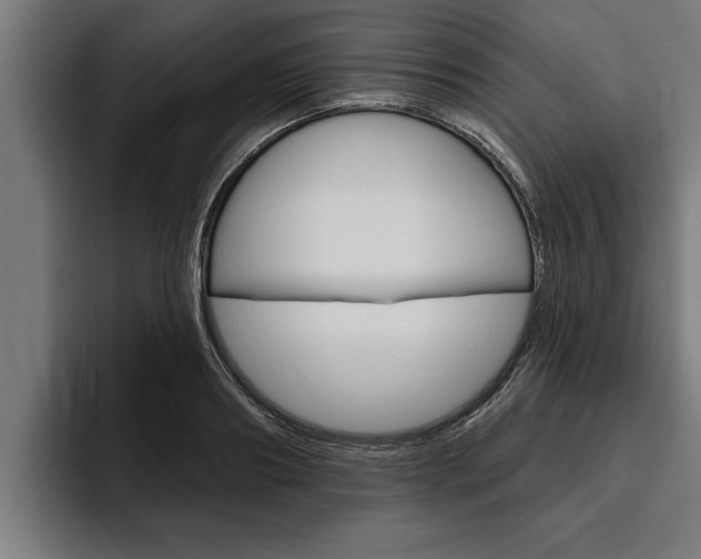 X0000094770890200711160828