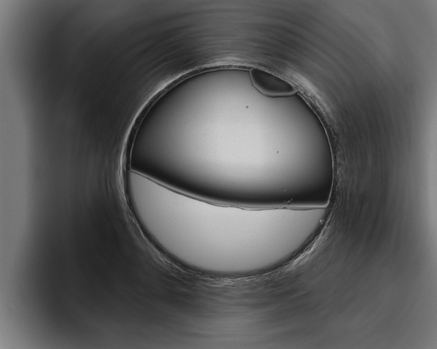 X0000094770892200711160828