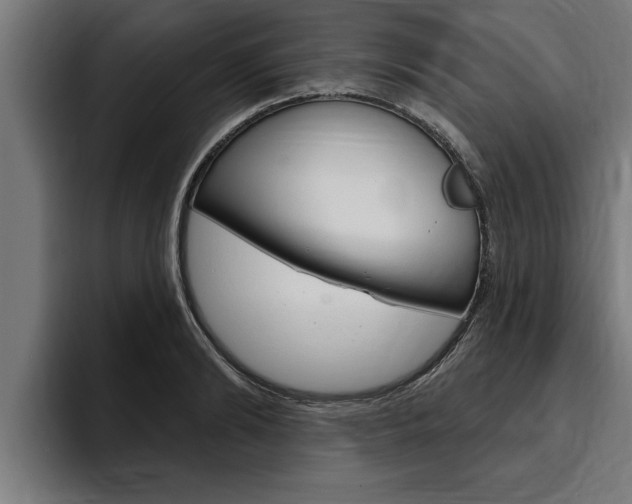 X0000094770894200711160828