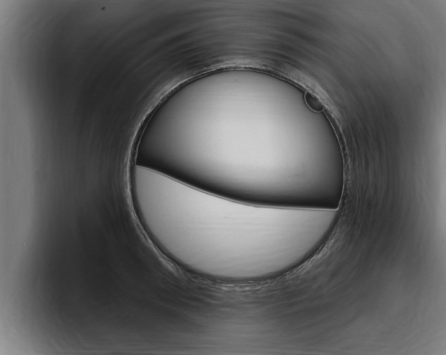 X0000094770898200711160828