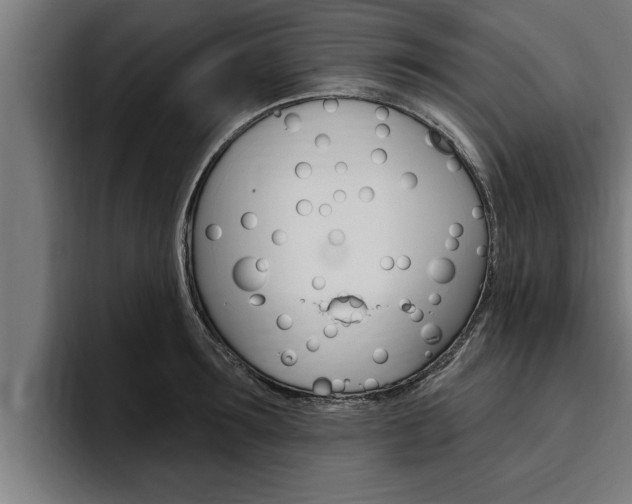 X0000094770899200711160828